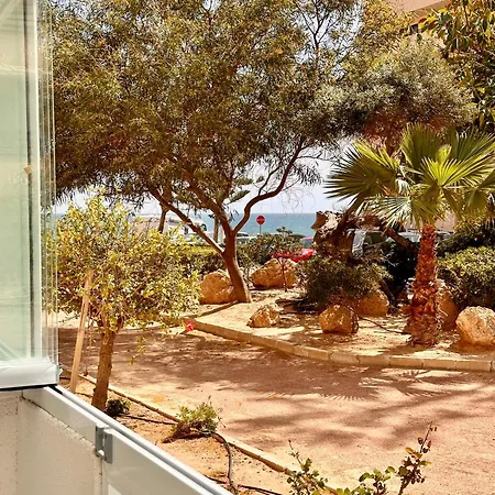 Appartamento Casa Blanca First Line La Mata -